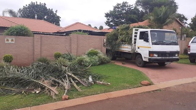 Tree Removal Specialist/Tree Felling in Randburg - Image 3