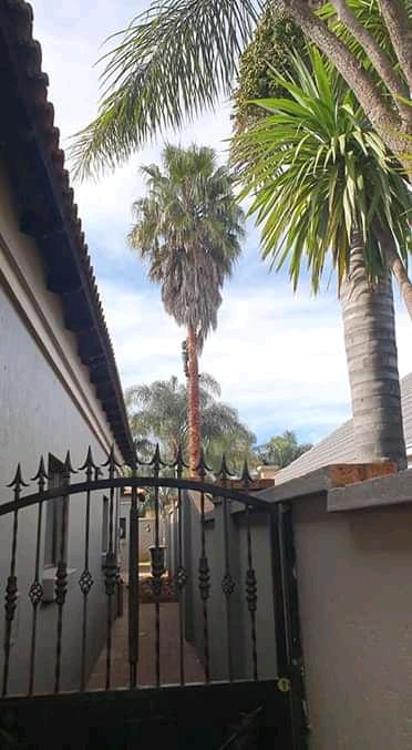 Tree Removal Specialist/Tree Felling in Randburg - Image 9
