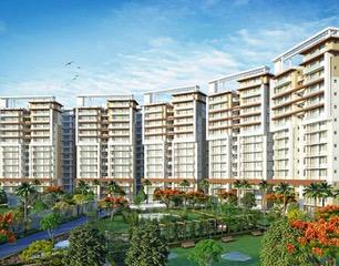 GREEN LOTUS SAKSHAM in Pālampur - Image 4