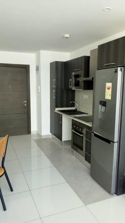 EXECUTIVE 1 BEDROOM FURNISHED APARTMENT FOR RENT AT CANTOMENTS in Lashibi - Image 8