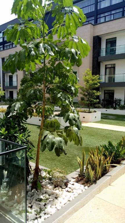 EXECUTIVE 1 BEDROOM FURNISHED APARTMENT FOR RENT AT CANTOMENTS in Lashibi - Image 12