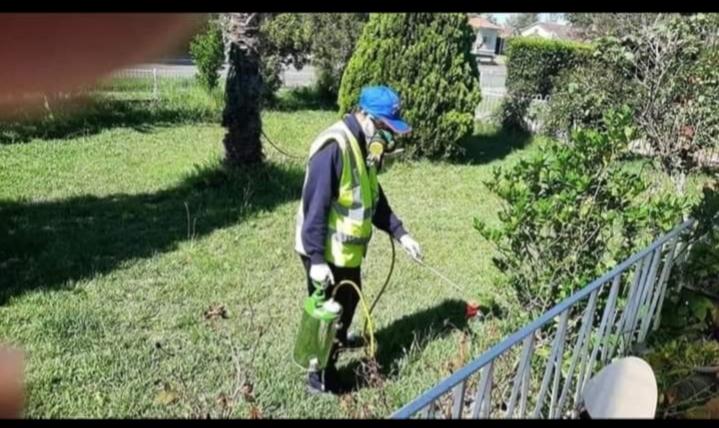 Sydwide Pest Control in Dee Why - Image 3
