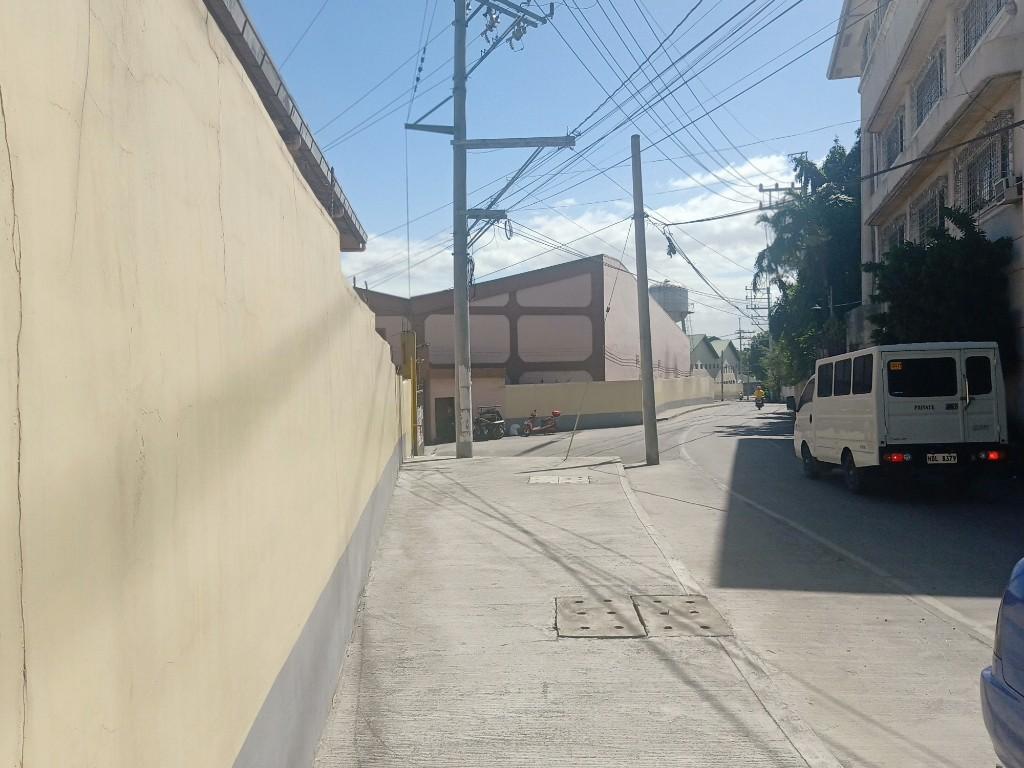4,402 sqm Commercial Lot for Sale EDSA Pasay City in Tabang - Image 2