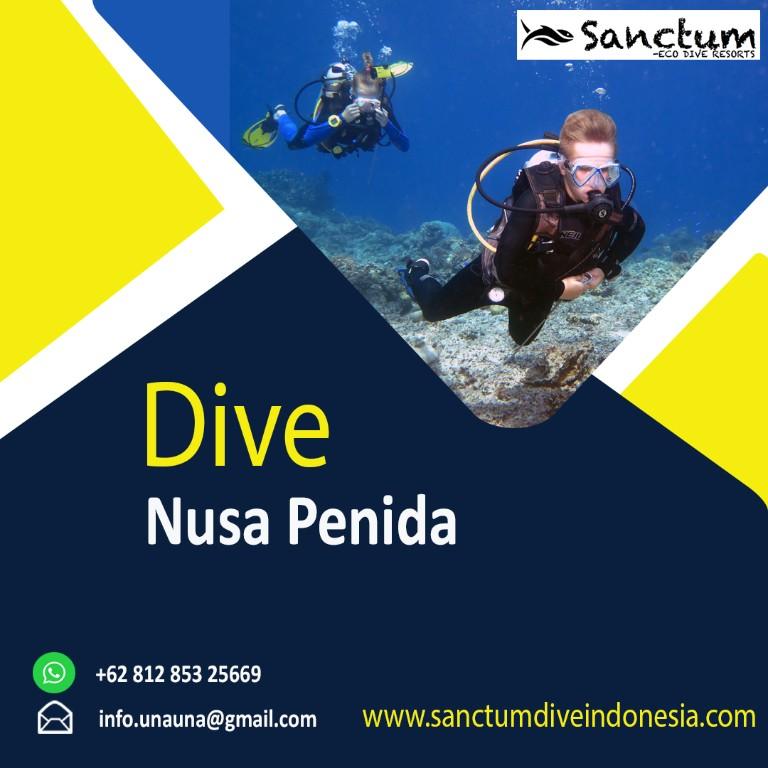 Dive Nusa Penida in Palu - Image 1