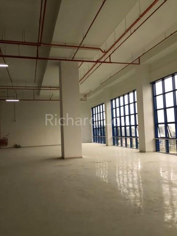 FoodAxis Senoko Large Ramp-Up Food Factory For Lease in Western Water Catchment - Image 2