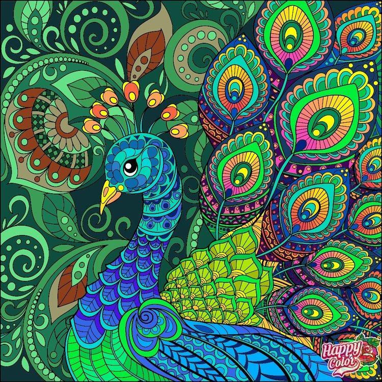 ZENTANGLE ART - DIBUJOS ESTILO MANDALA en Ancón - Imagen 13