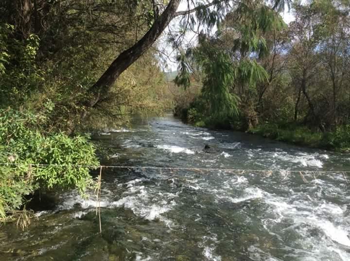 Venta o Renta Rancho 800 mts Río Permanente Se Aceptan Bienes en Rioverde - Imagen 1