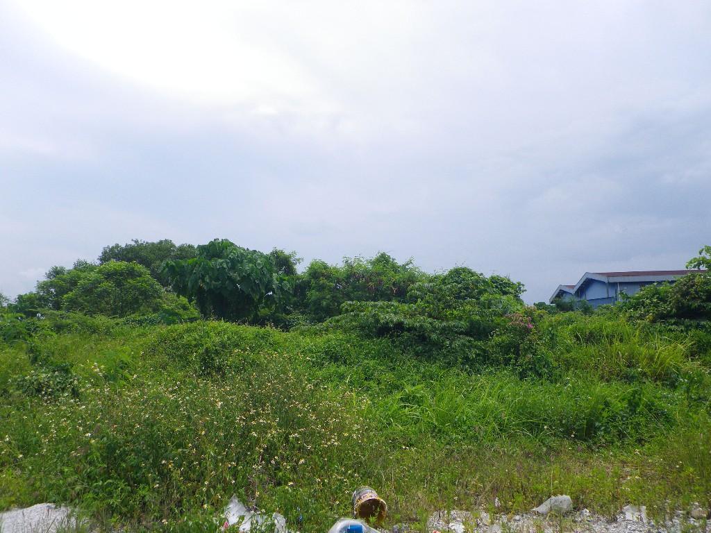 Rawang Jalan Batang Kali Industry Land For Sale in Ladang Seri Kundang - Image 2