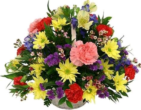 Musa's Fresh Flowers in Pinetown - Image 2