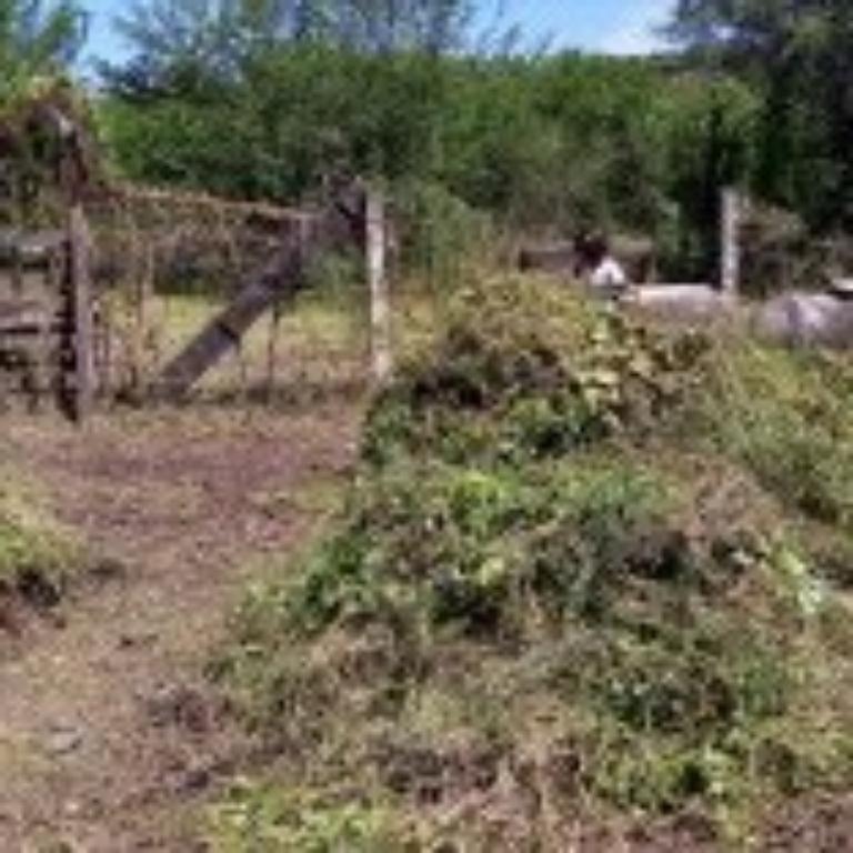 Terreno en venta 200m2 en Yautepec - Imagen 2