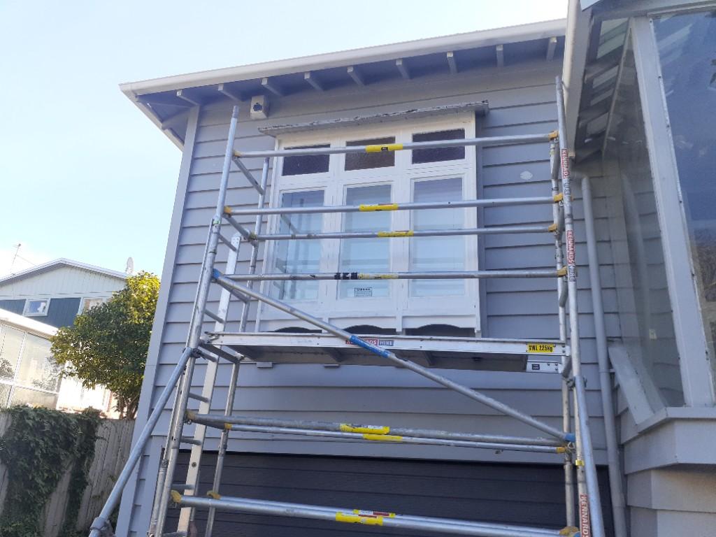 Painter available in Auckland - Image 2