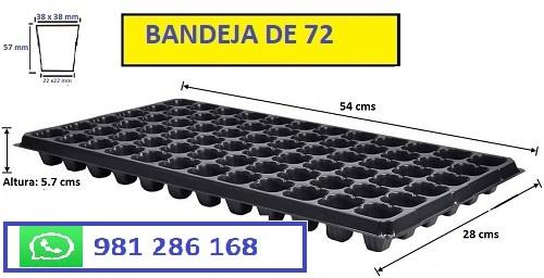 BANDEJAS ALMACIGUERAS o GERMINACION en Matucana - Imagen 1