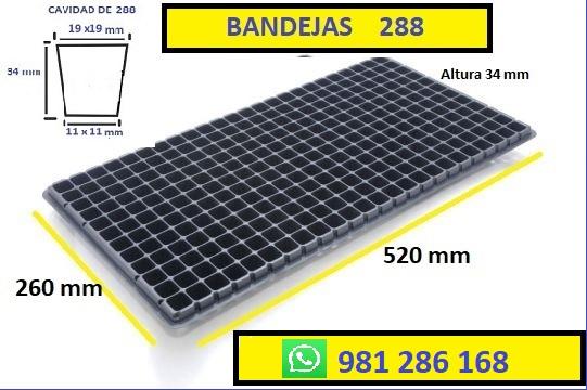 BANDEJAS ALMACIGUERAS o GERMINACION en Matucana - Imagen 2