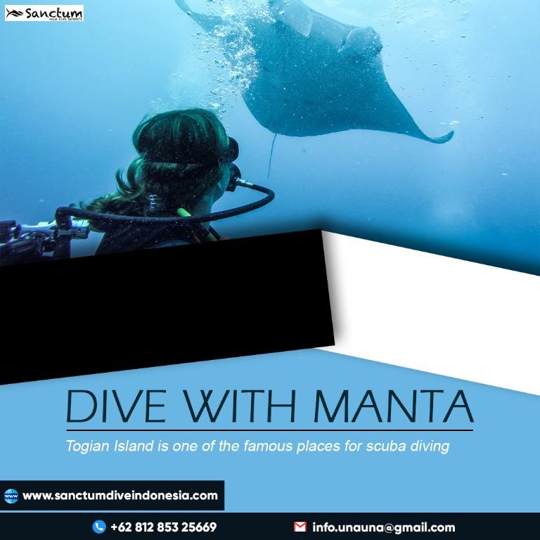 Dive With Manta in Palu - Image 1