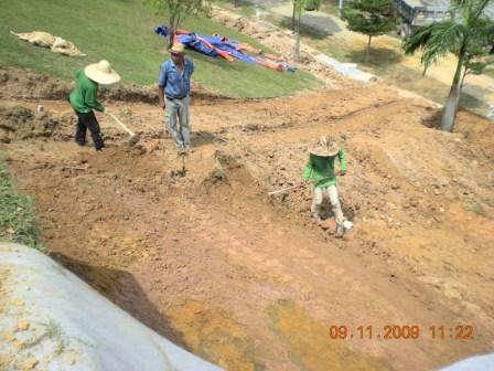 Cowgrass Turfing in North-Eastern Islands - Image 3