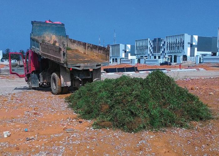 Cowgrass Turfing in North-Eastern Islands - Image 4