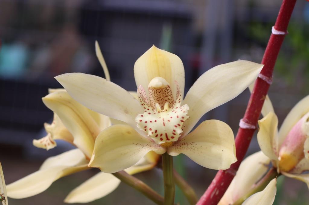 Photography in Australia - Image 6