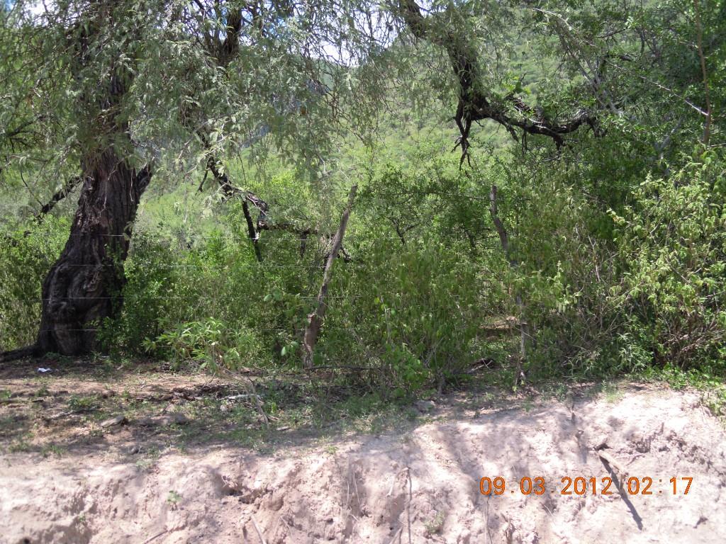Venta o Renta Rancho 800 mts Río Permanente Se Aceptan Bienes en Rioverde - Imagen 4