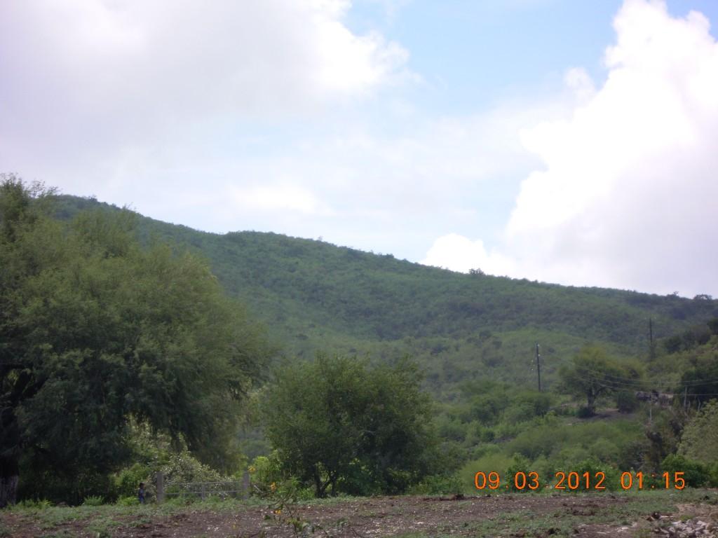 Venta o Renta Rancho 800 mts Río Permanente Se Aceptan Bienes en Rioverde - Imagen 5