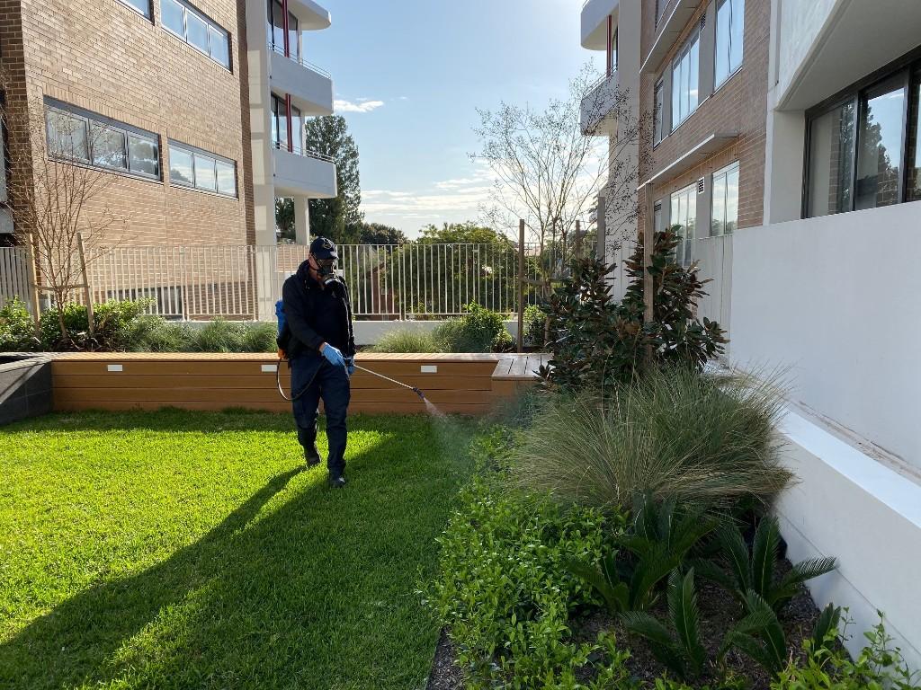 Pest Blitz in Warringah - Image 2