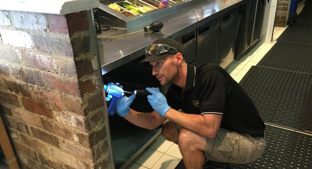 Pest Blitz in Warringah - Image 1