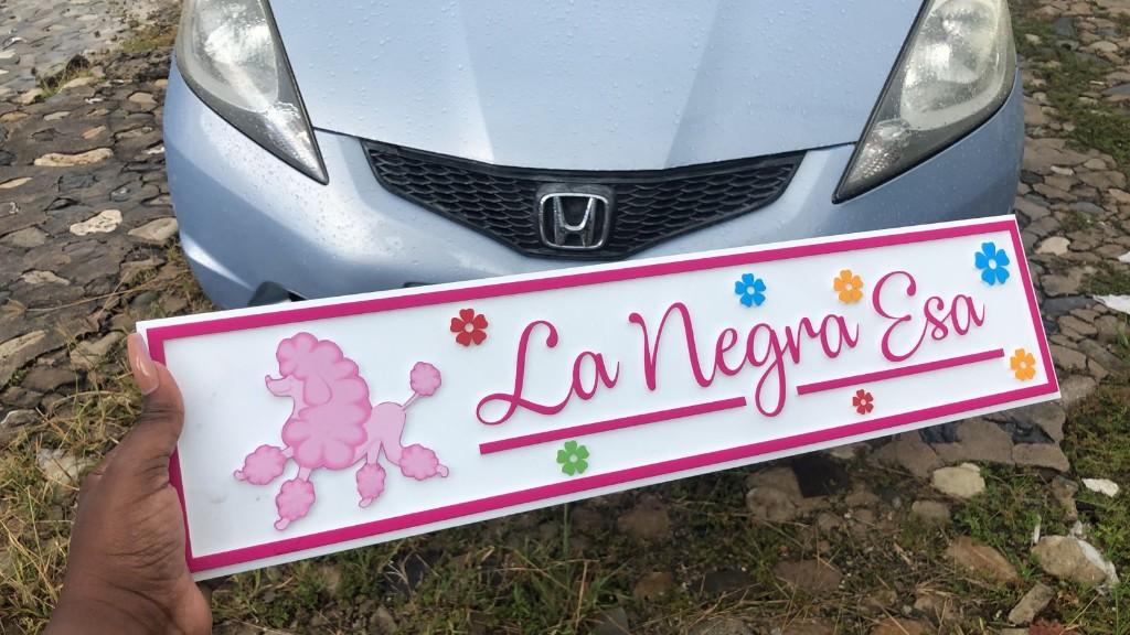 Placas Racing Personalizadas en Los Alcarrizos - Imagen 3
