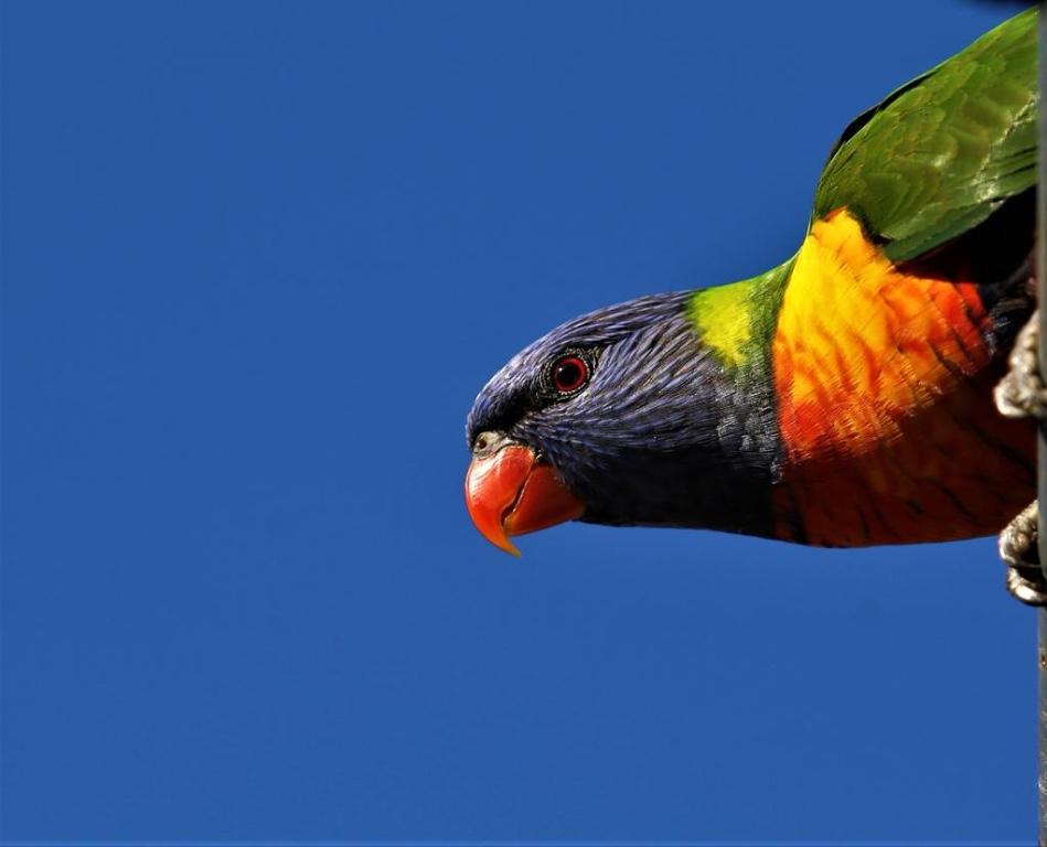 Photography in Australia - Image 7
