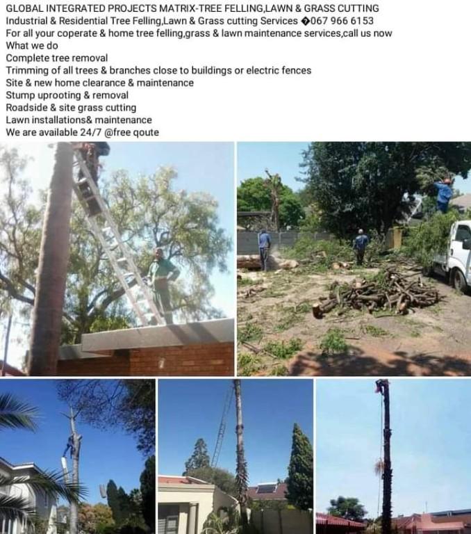 Boom sloping in Randburg - Image 2
