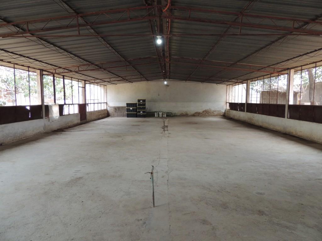 Rento Bodega en Oaxaca de Juárez - Imagen 4