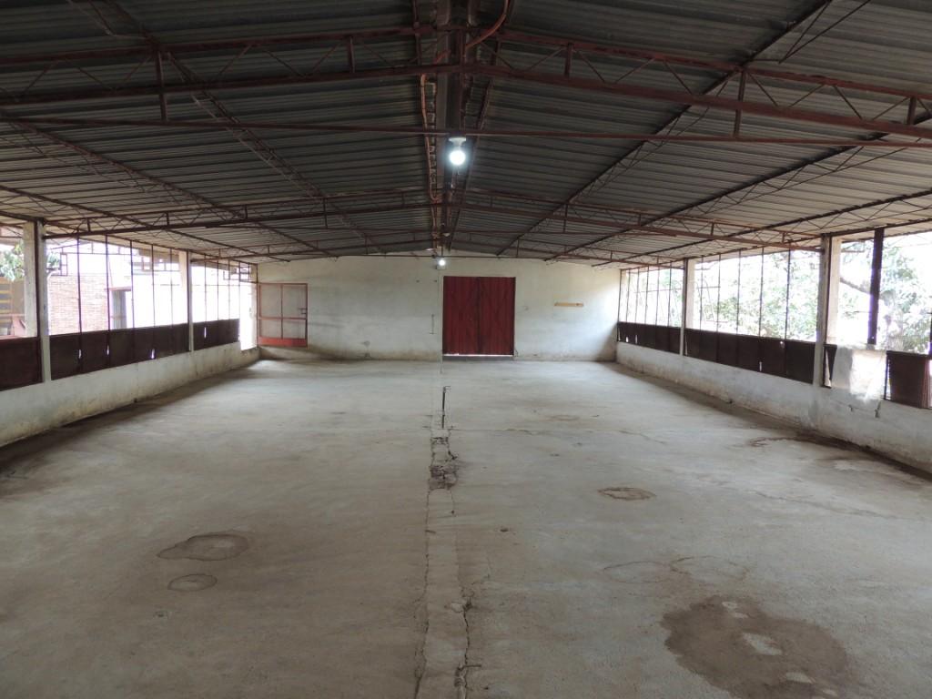 Rento Bodega en Oaxaca de Juárez - Imagen 5