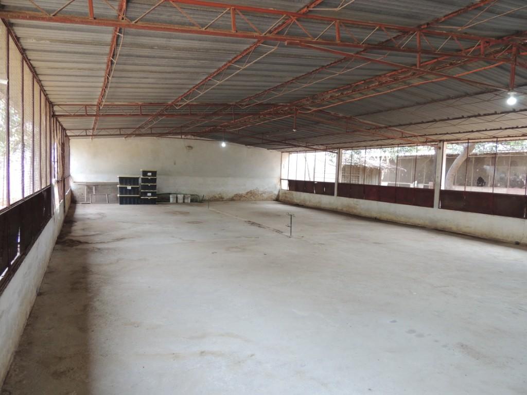 Rento Bodega en Oaxaca de Juárez - Imagen 1