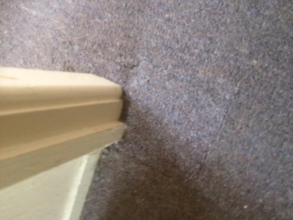 Carpet Repairs in Adelaide - Image 2