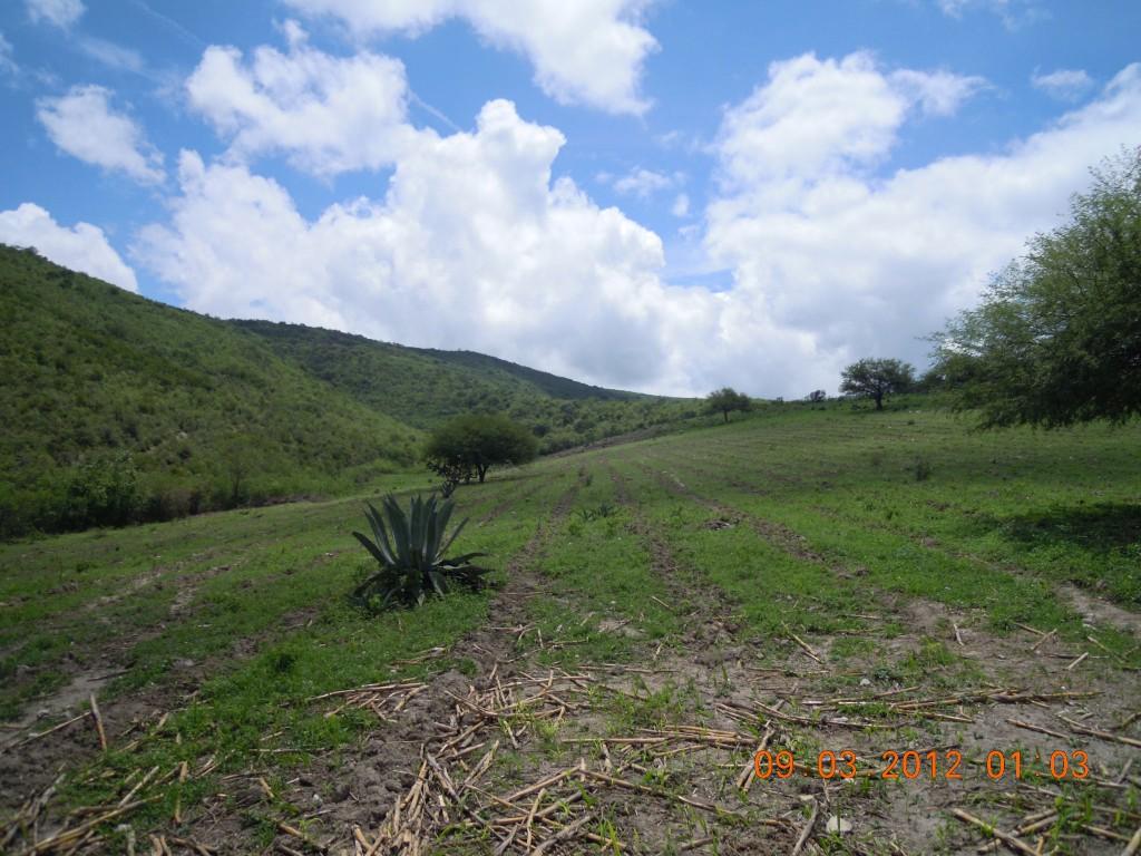 Venta o Renta Rancho 800 mts Río Permanente Se Aceptan Bienes en Rioverde - Imagen 10