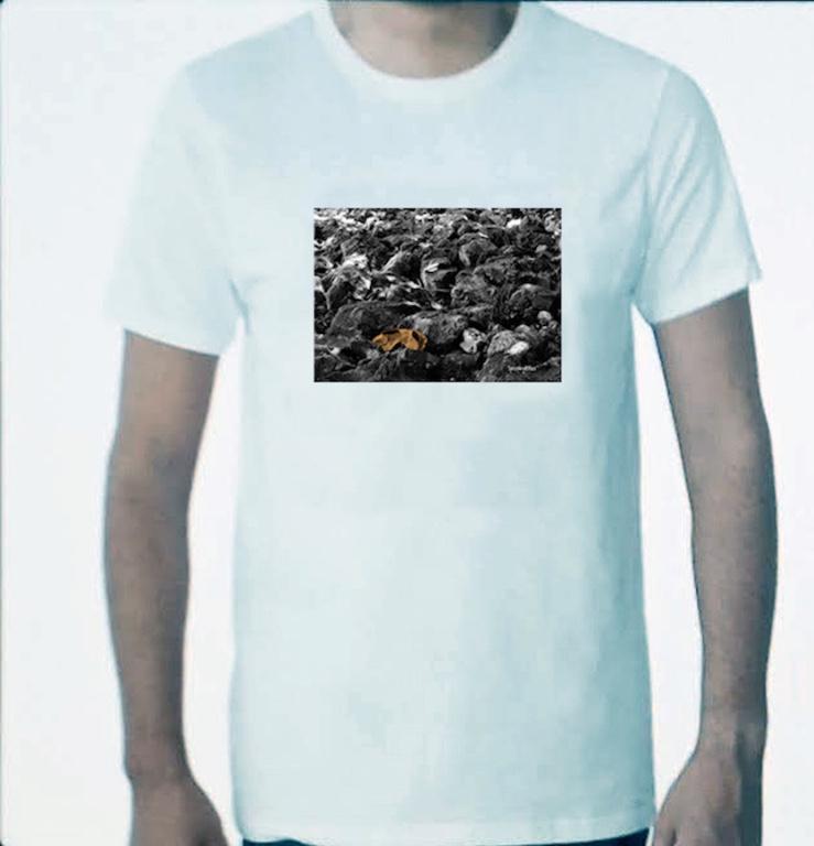 Playeras Spooky en Cuajimalpa de Morelos - Imagen 4