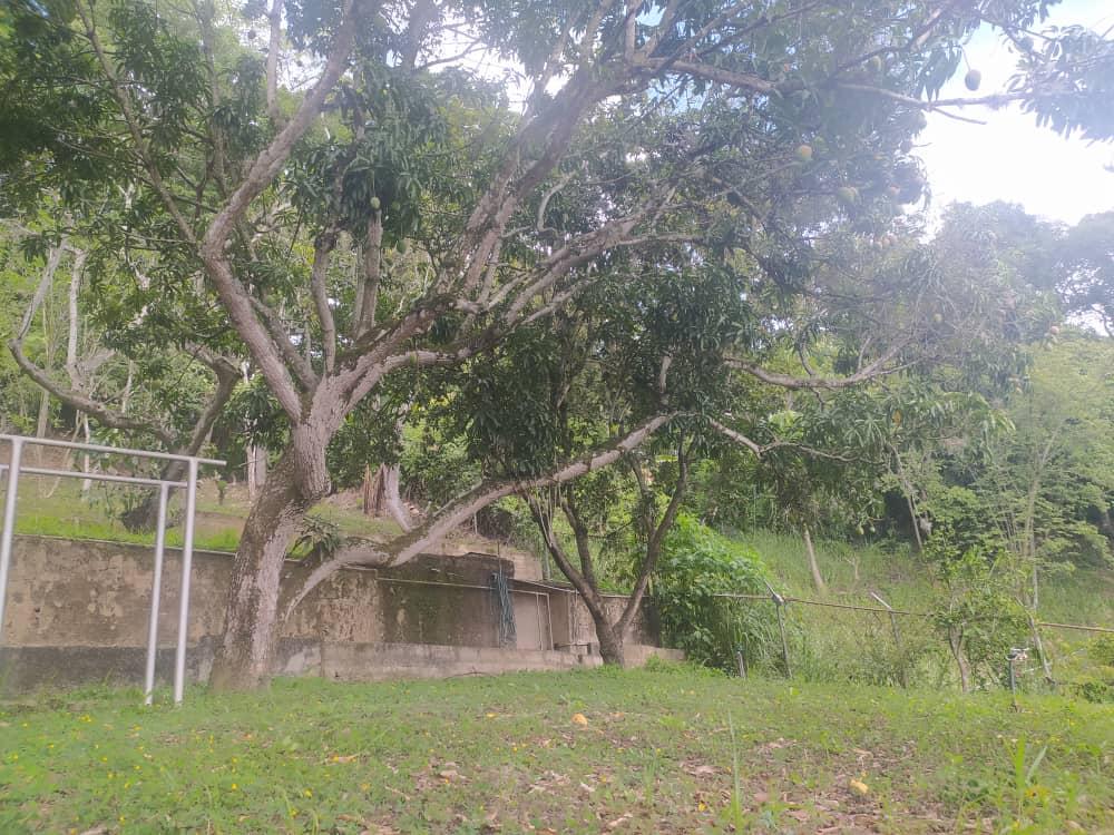 CASA - TERRAZAS DEL CLUB HIPICO - 545 Mts2 en Venezuela - Imagen 19
