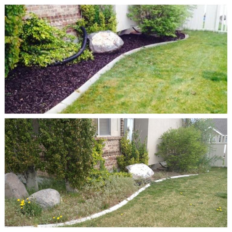 CLEANING SERVICE in Bexleyheath - Image 4