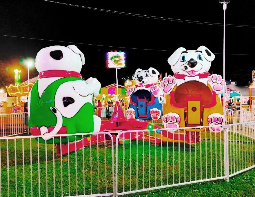 Valley Stream Carnival in New York - Image 9