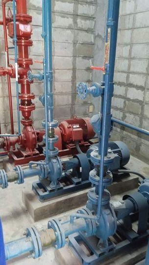 Pump Reconditioning in Davao - Image 3