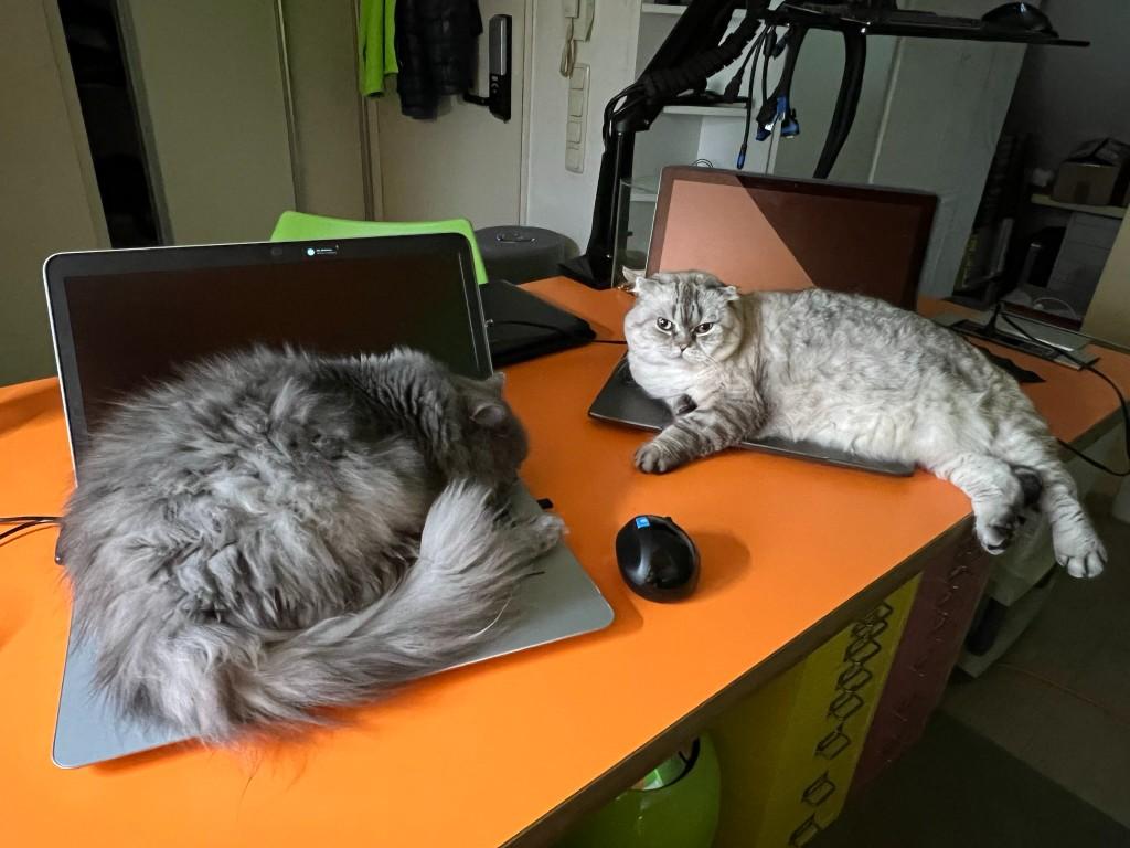 MacBook Service & Reparatur München in Germering - Bild 6