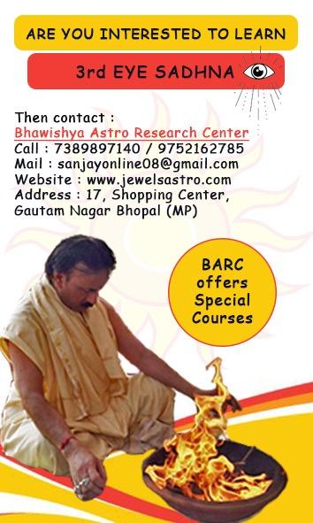 Astrology Dowsing Services in Bhopal - Image 1