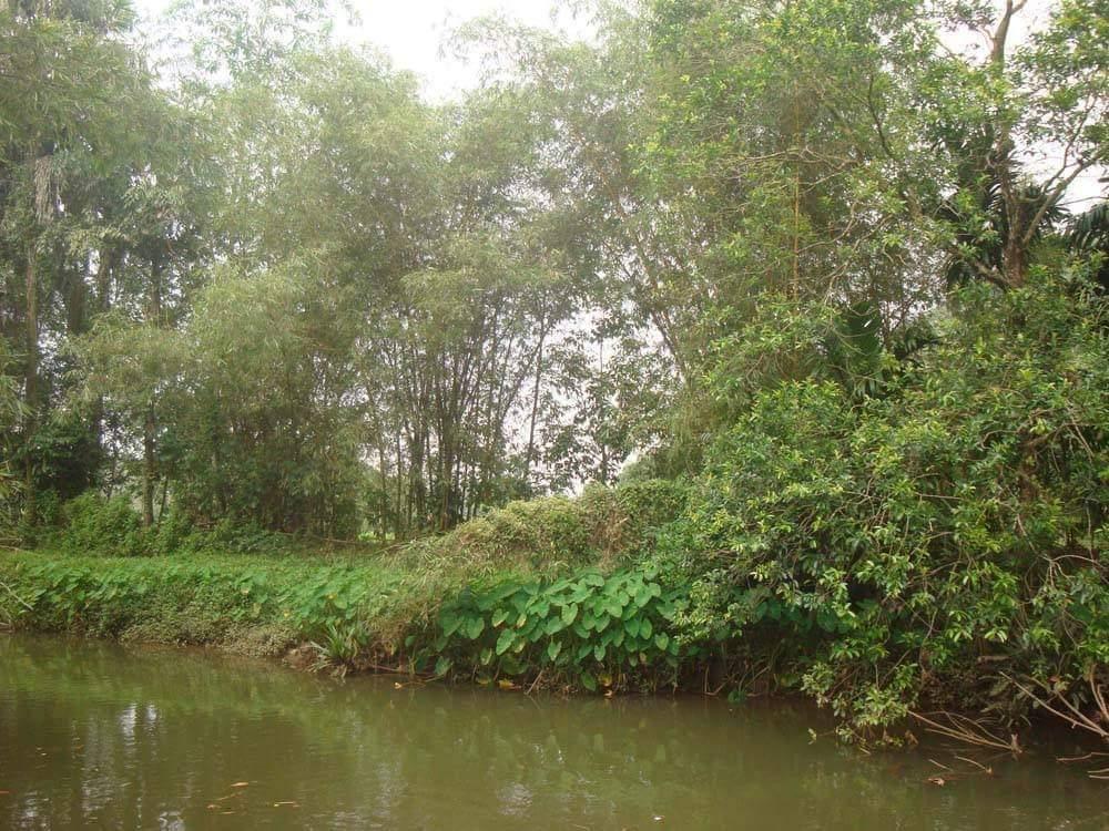 Seeking partner for a floating restaurant in Sri Lanka in Chiyoda - Image 5