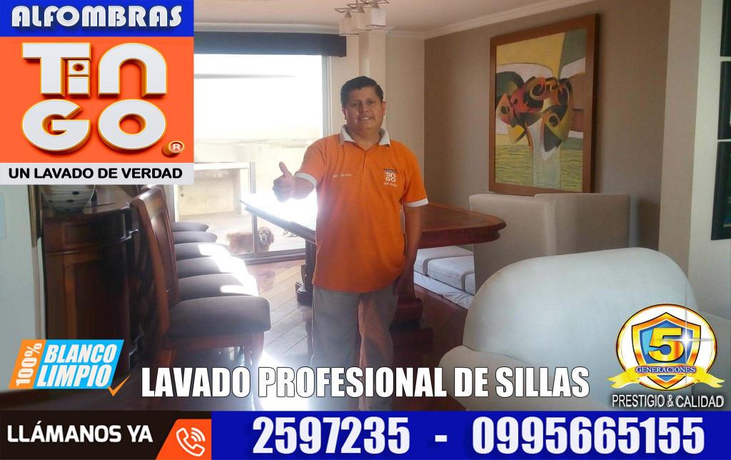 LIMPIEZA DE MUEBLES - SERVICIO A DOMICILIO en Quito - Imagen 5