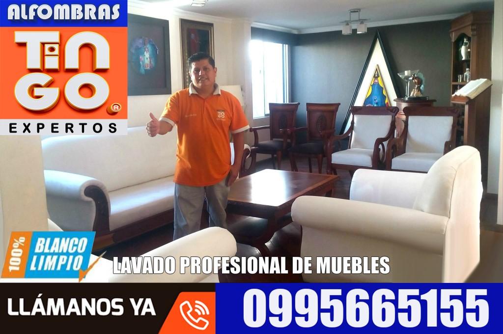 LIMPIEZA DE MUEBLES - SERVICIO A DOMICILIO en Quito - Imagen 8