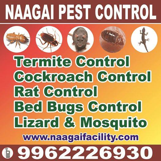 Termite Control Pre and post construction in Chennai - Image 1