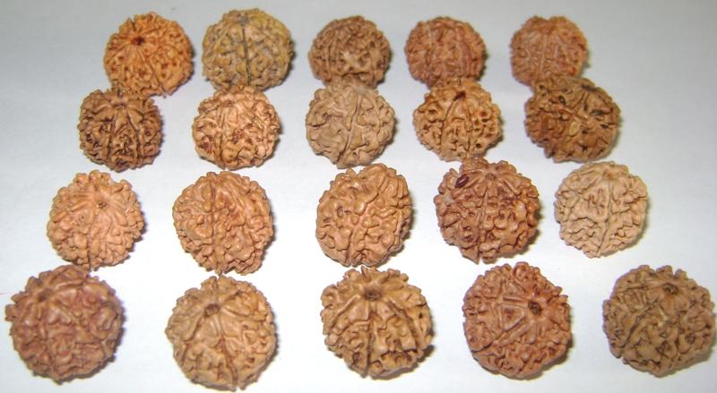 Festival collections in Bhopal - Image 1