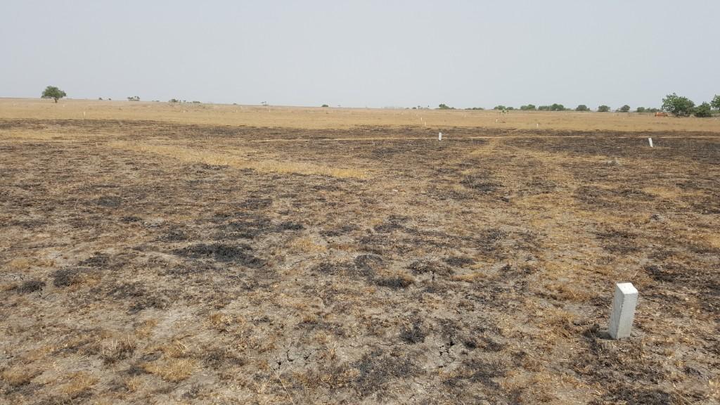 AFFORDABLE AND LITIGATION FREE LANDS FOR SALE AT PRAMPRAM BUEKO in Tema - Image 2