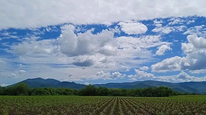 Venta o Renta Rancho 800 mts Río Permanente Se Aceptan Bienes en Rioverde - Imagen 19