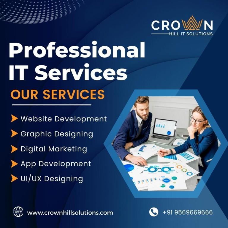 Custom Web Development Customized IT Solutions and Services in San Jose - Image 1