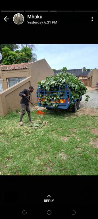 Tree cutting in Randburg - Image 1