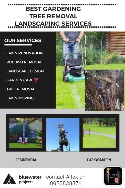 Tree cutting in Randburg - Image 2